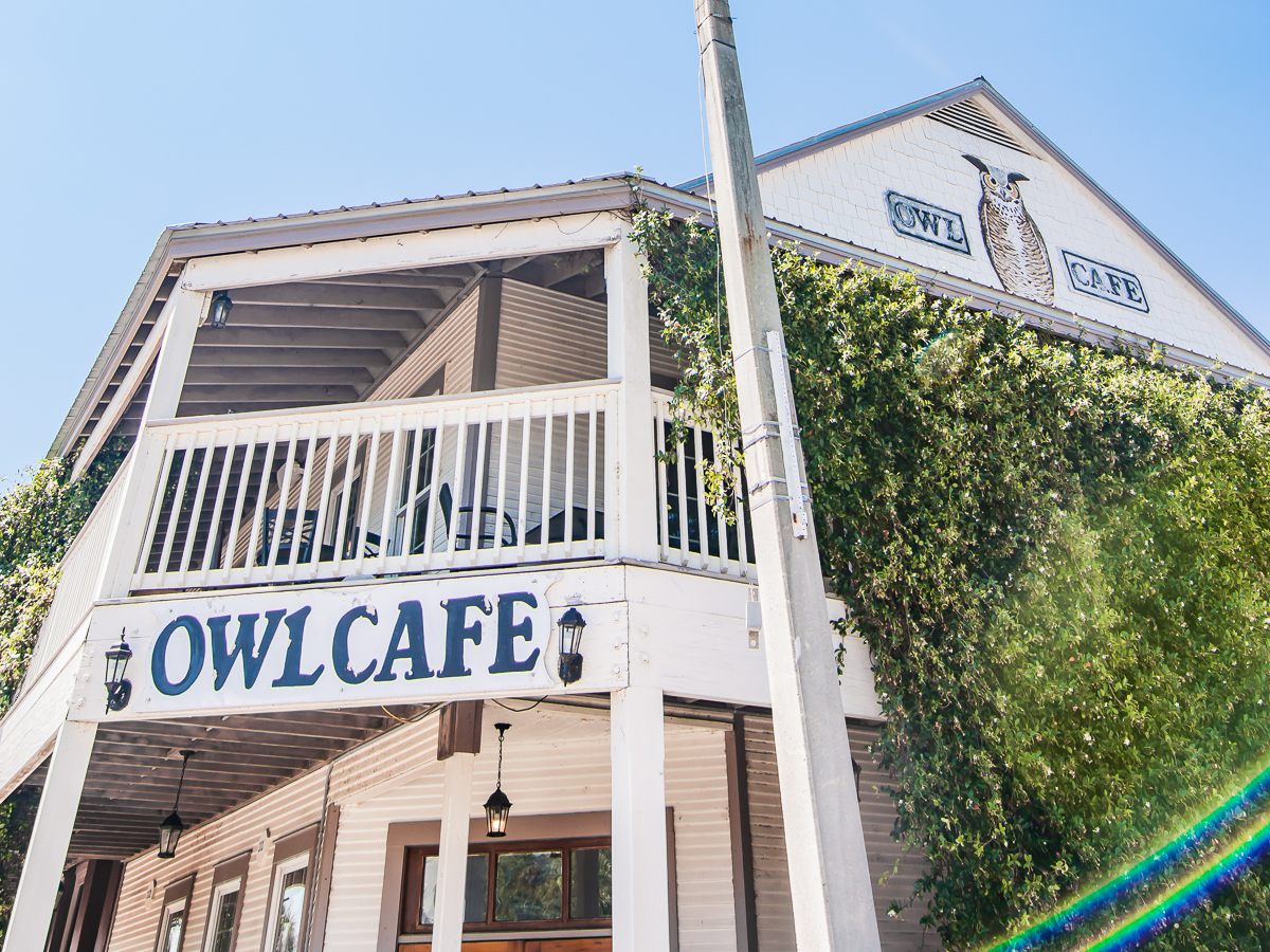 Owl Cafe Apalachicola