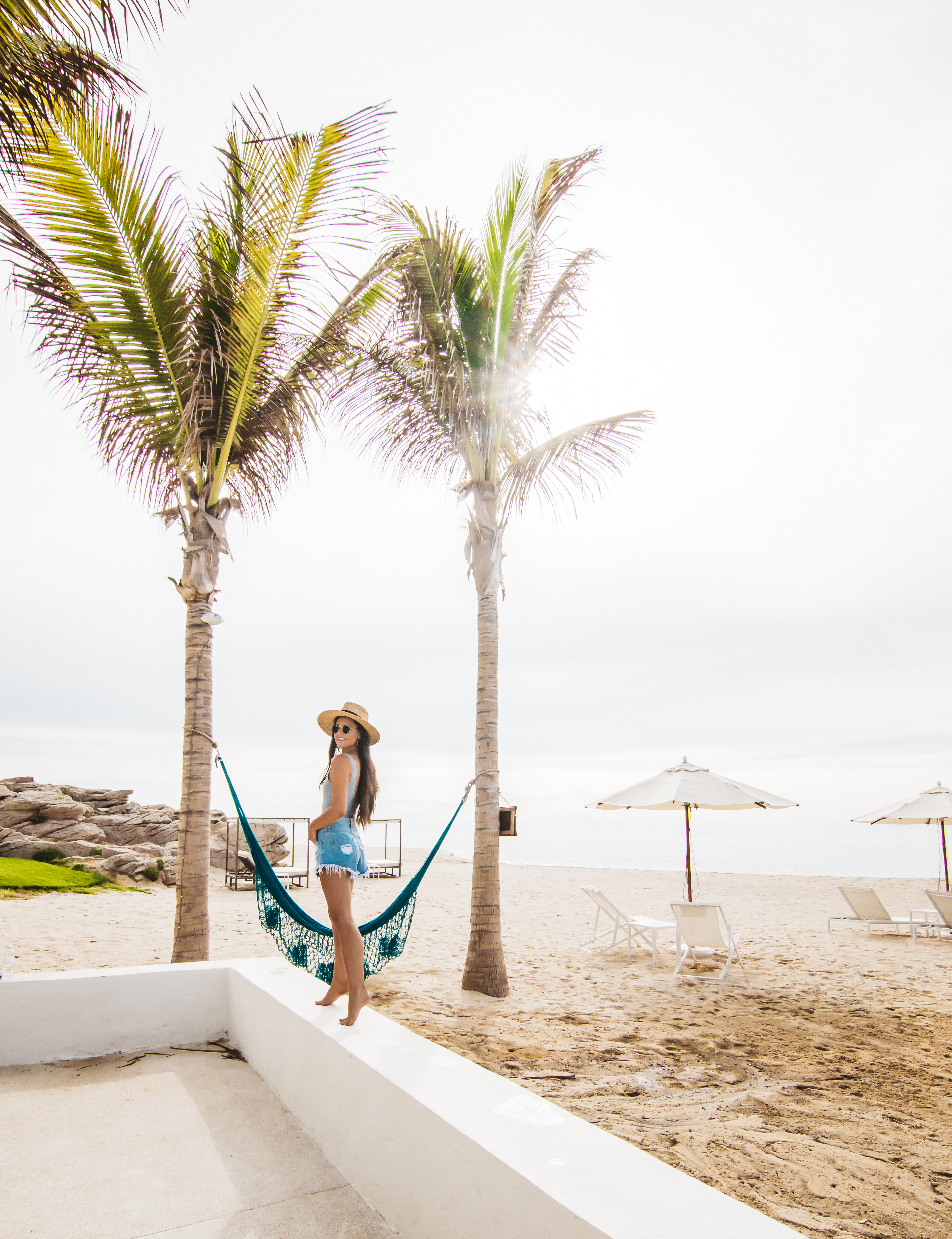 Cabo palm trees