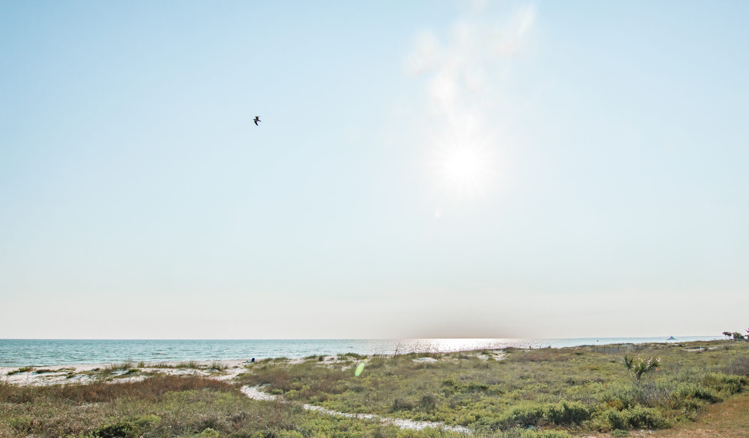 Mexico Beach Florida 2021