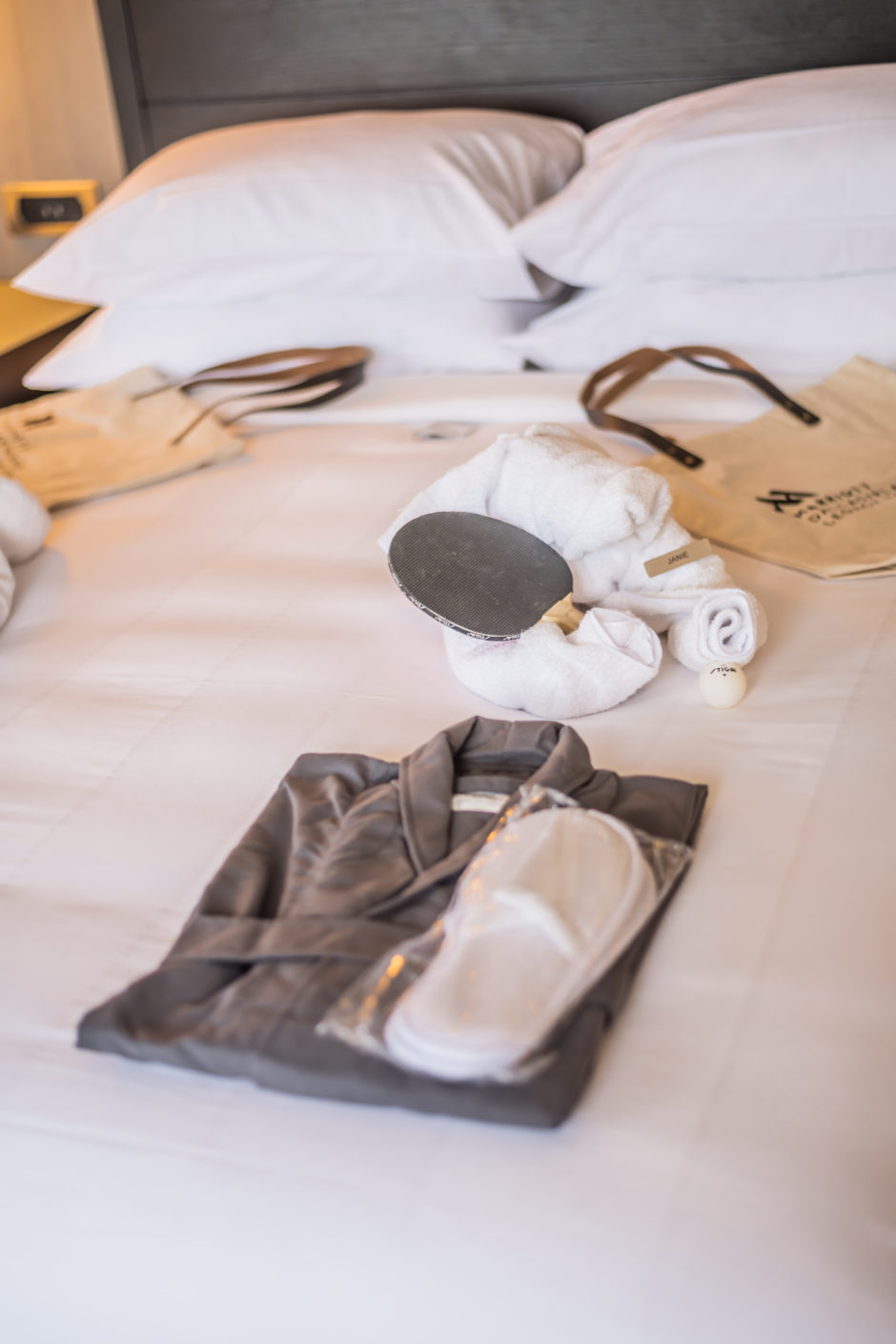 Towel animals hotel