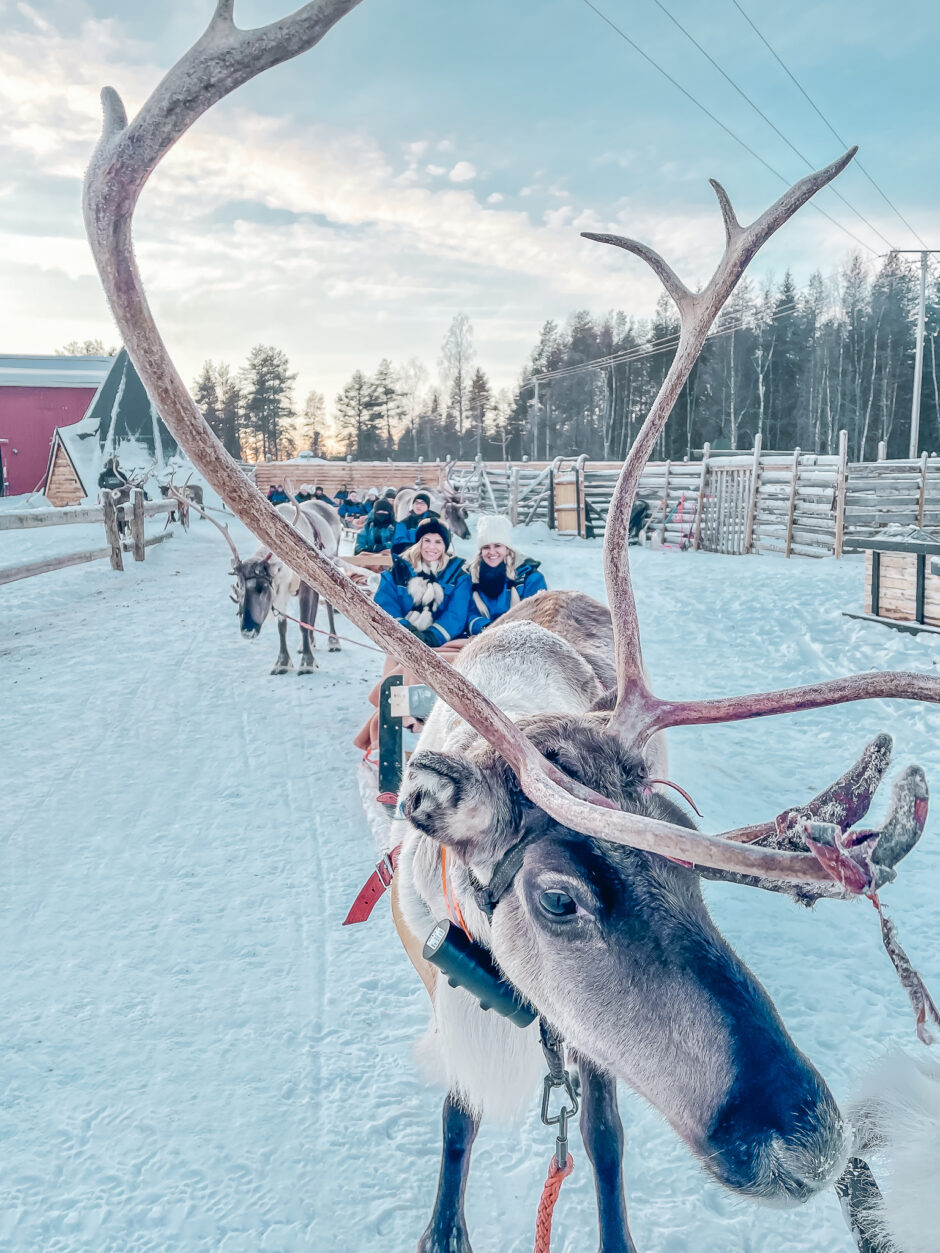Apukka Resort Rovaniemi