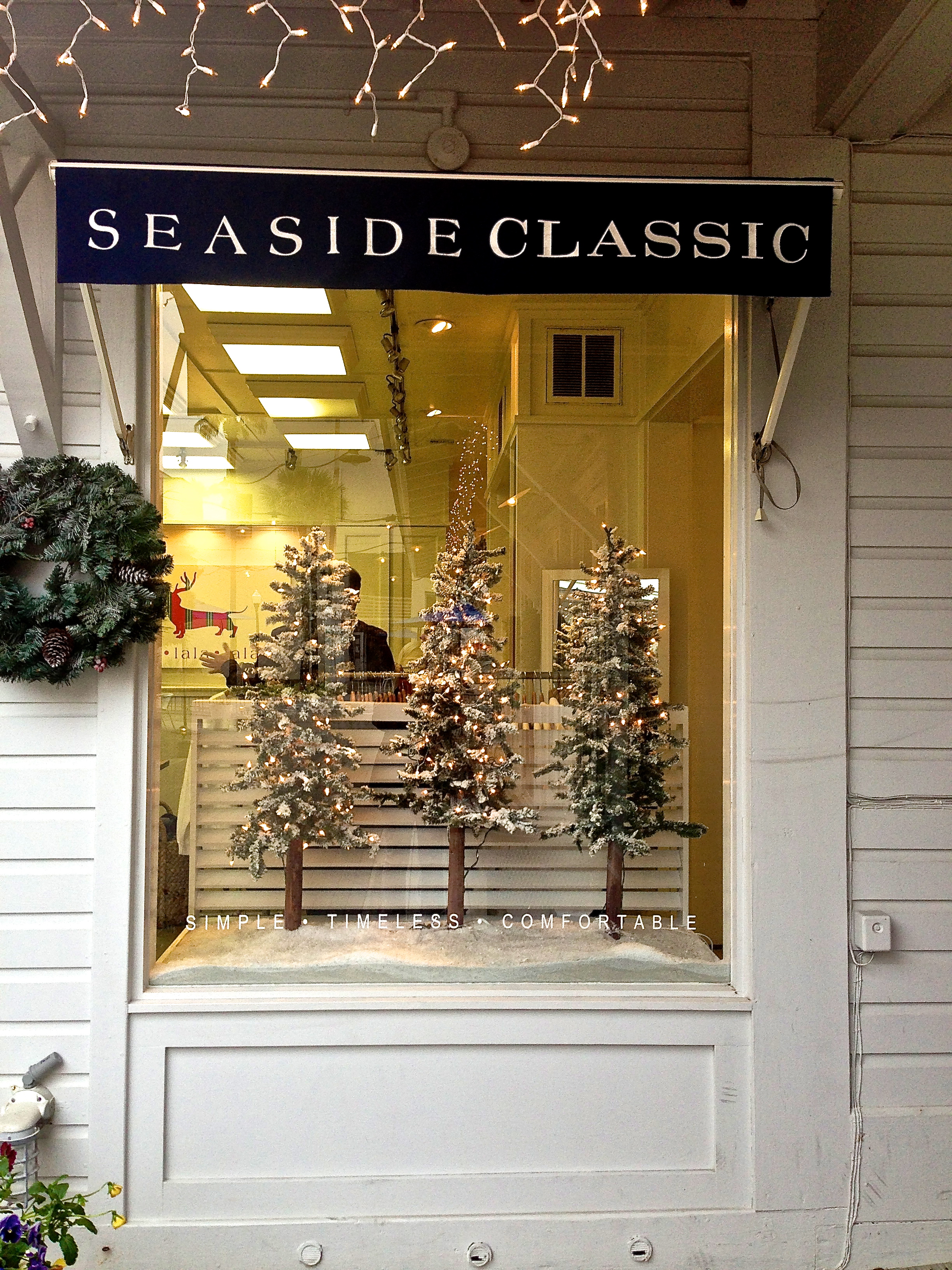 Store Window