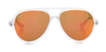 Ray Ban Mirrored Cats