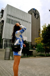 dallas fashion printed suit
