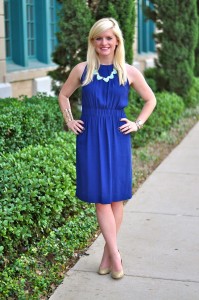 Navy Dress Nude Pumps