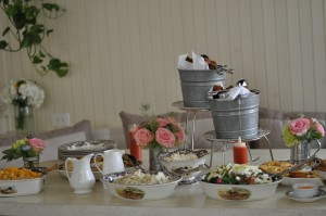 wedding shower sissys dallas