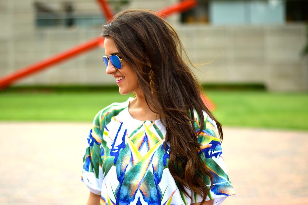 PS for M&H: Palm Crop