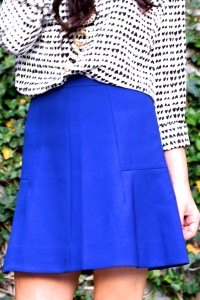 J Crew Blue Skirt