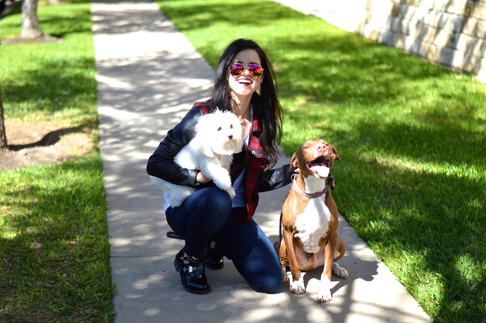 Pitbull Awareness Month