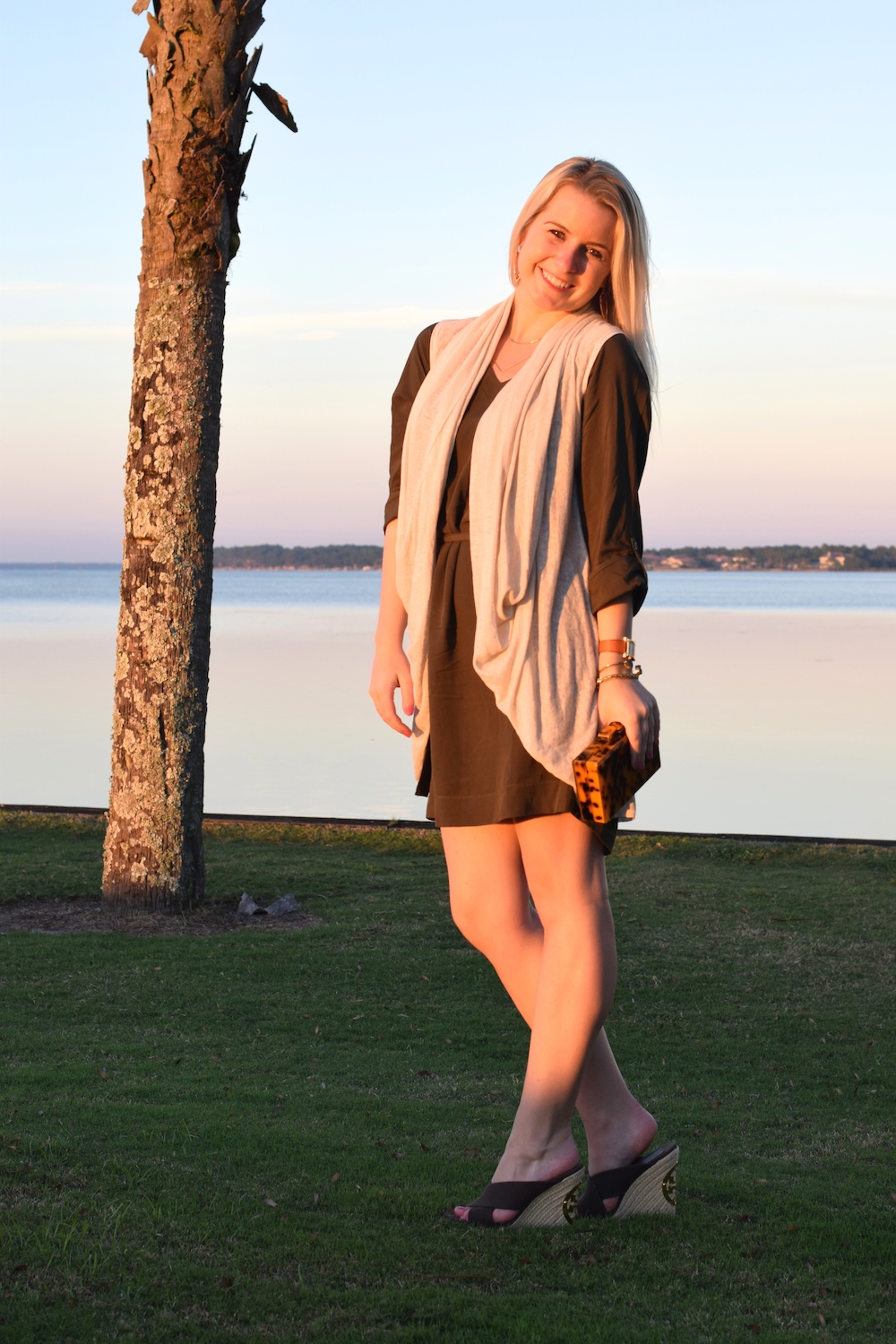 brown dress with vest