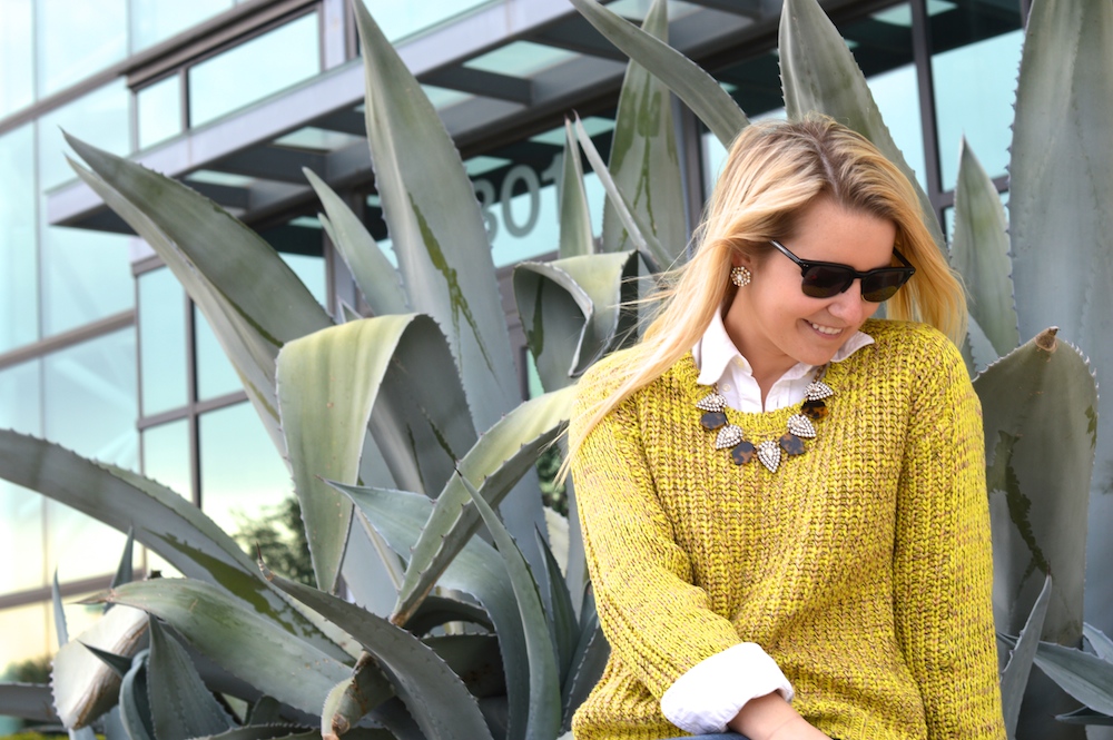 J Crew Statement Necklace