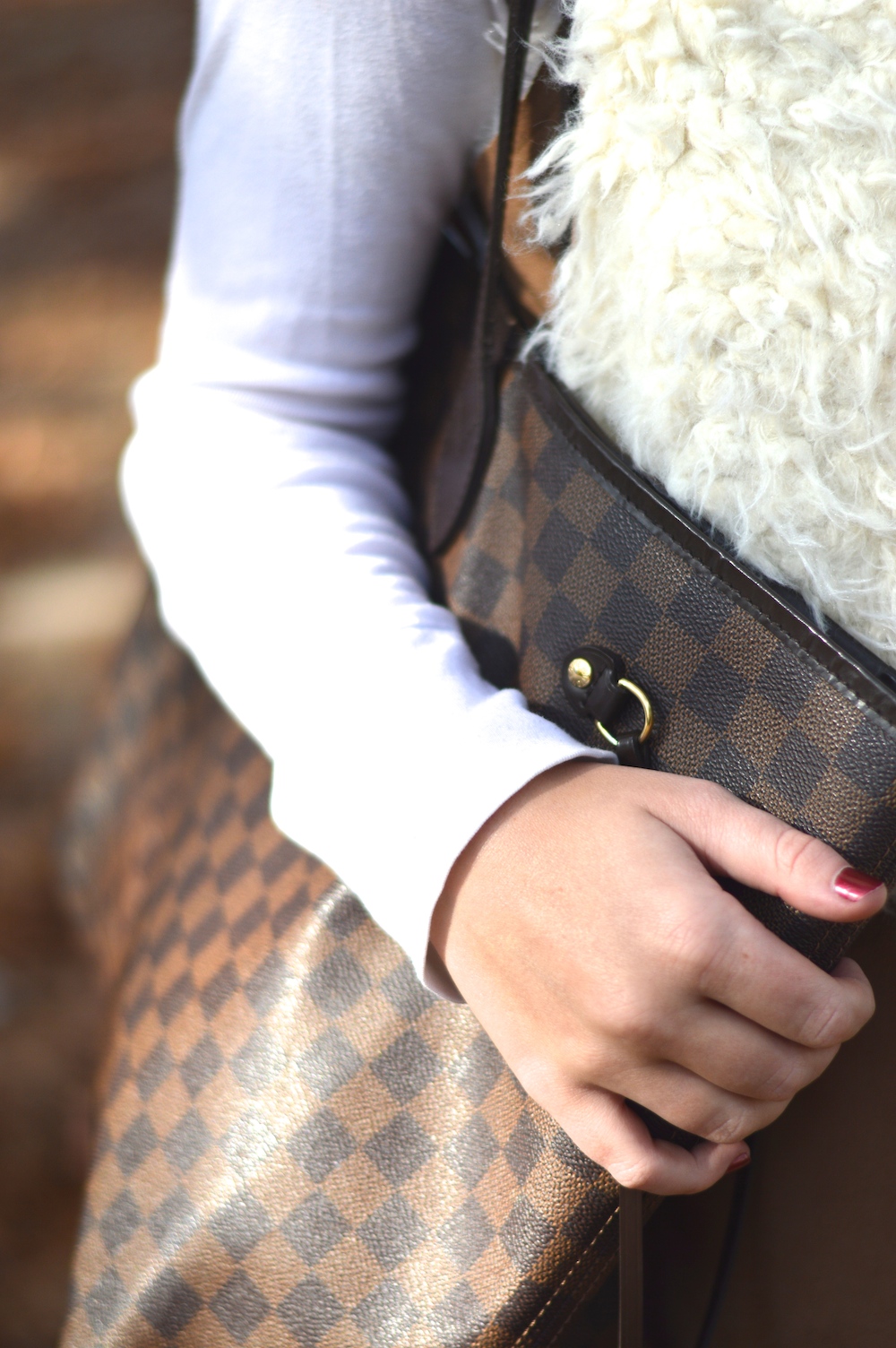 Louis Vuitton Neverfull Blogger