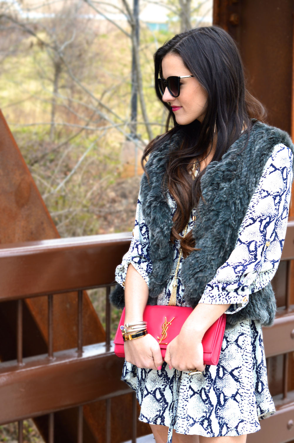 gray snake dress and vest