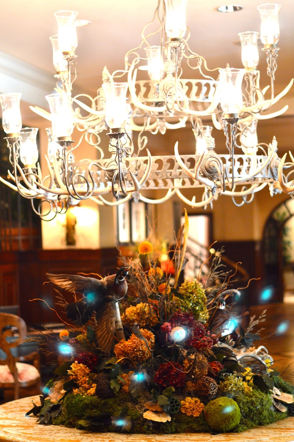 The Houstonian Hotel Lobby