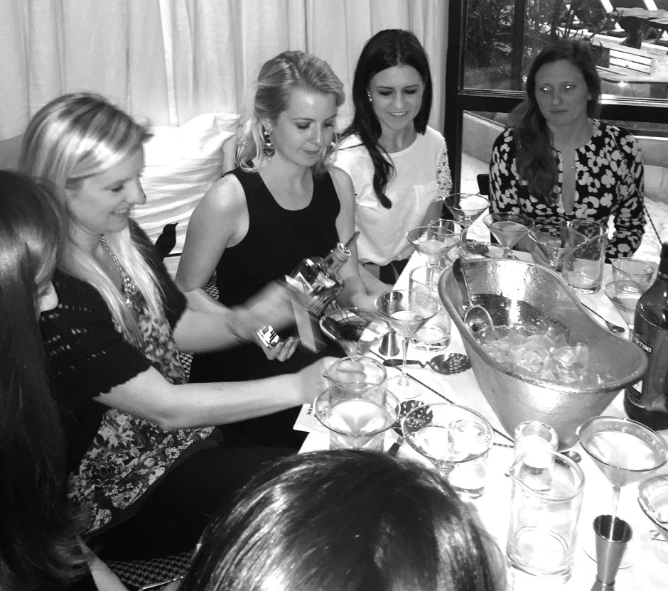 Absolut Elyx Martini Class