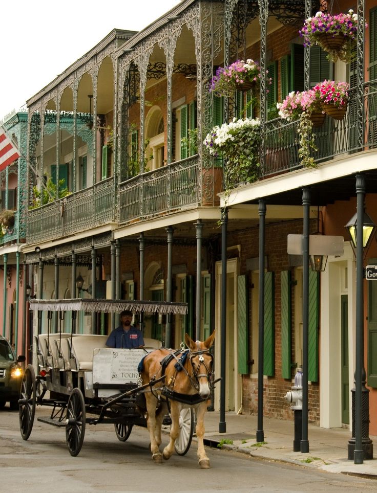 new orleans travel guide