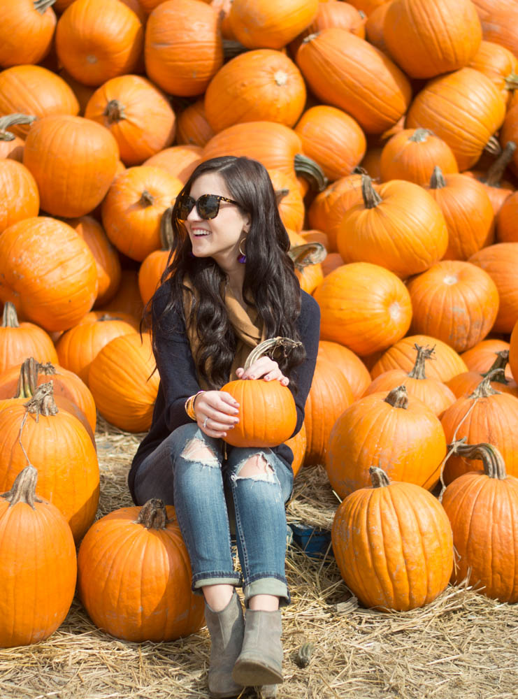 charlotte pumpkin patch fall fashion blog