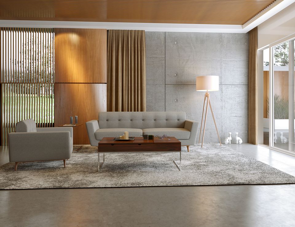 gray modern living room