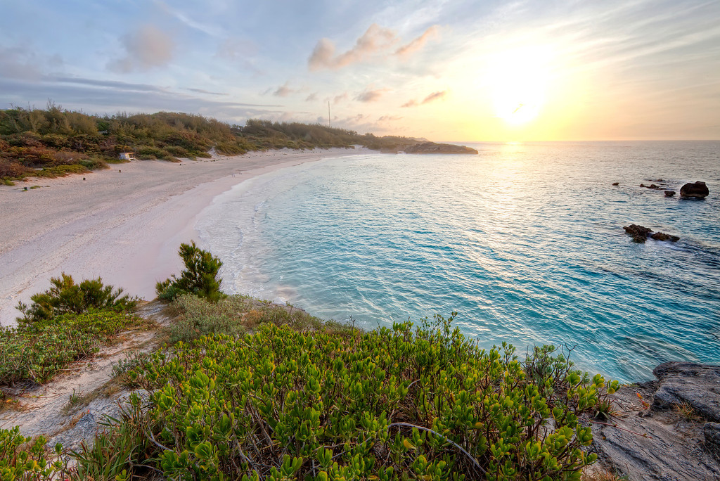 Bermuda horseshoe bay beach