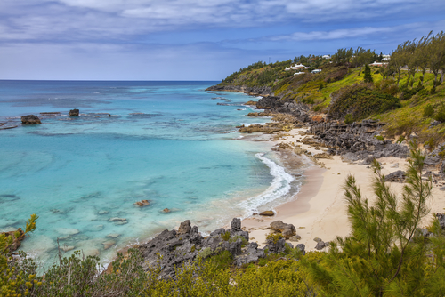 Bermuda Beach pink sand