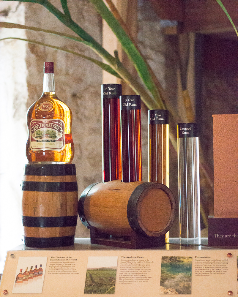 appleton estate rum tasting jamaica