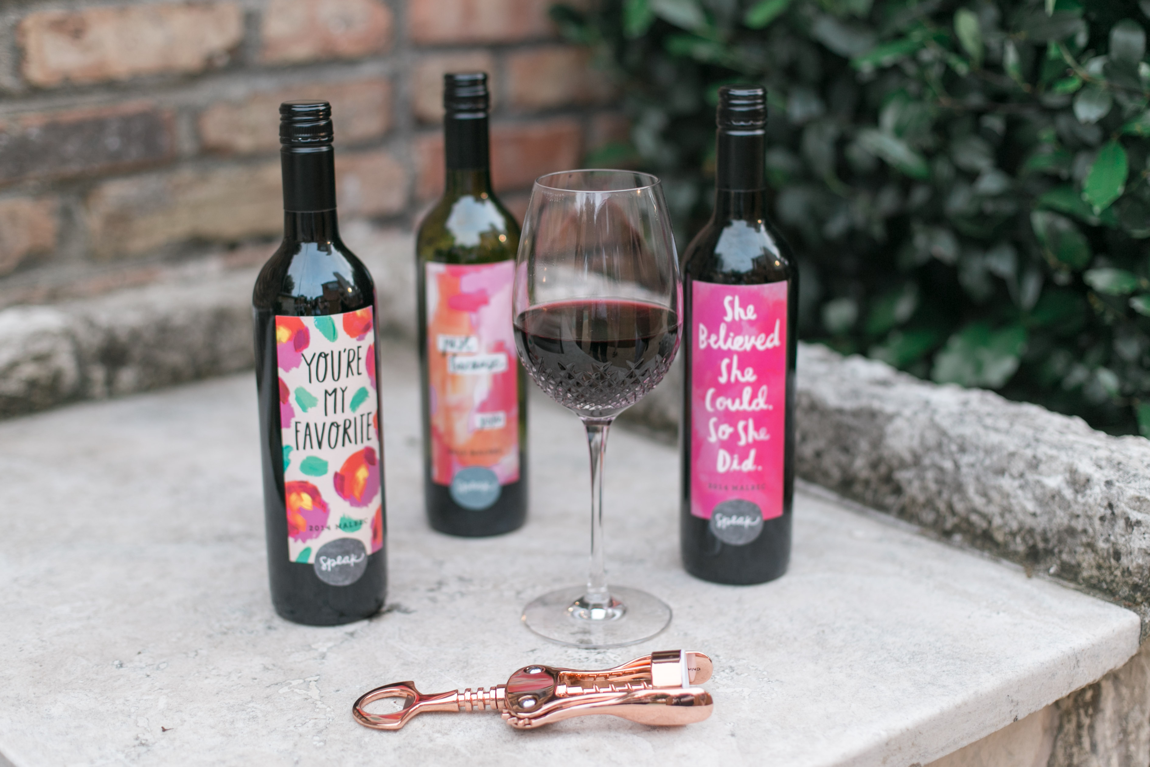 speak wines girls night
