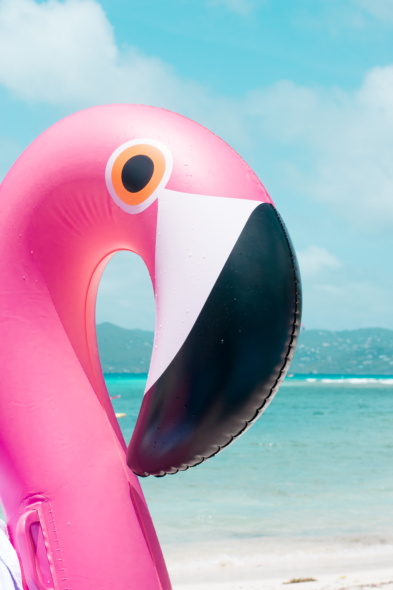 inflatable beach flamingo