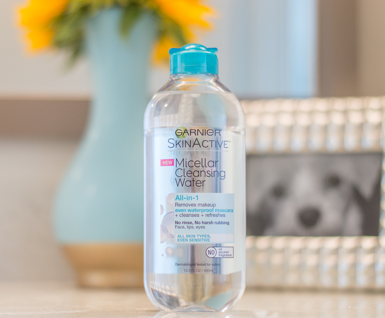 Garnier Micellar Cleanser