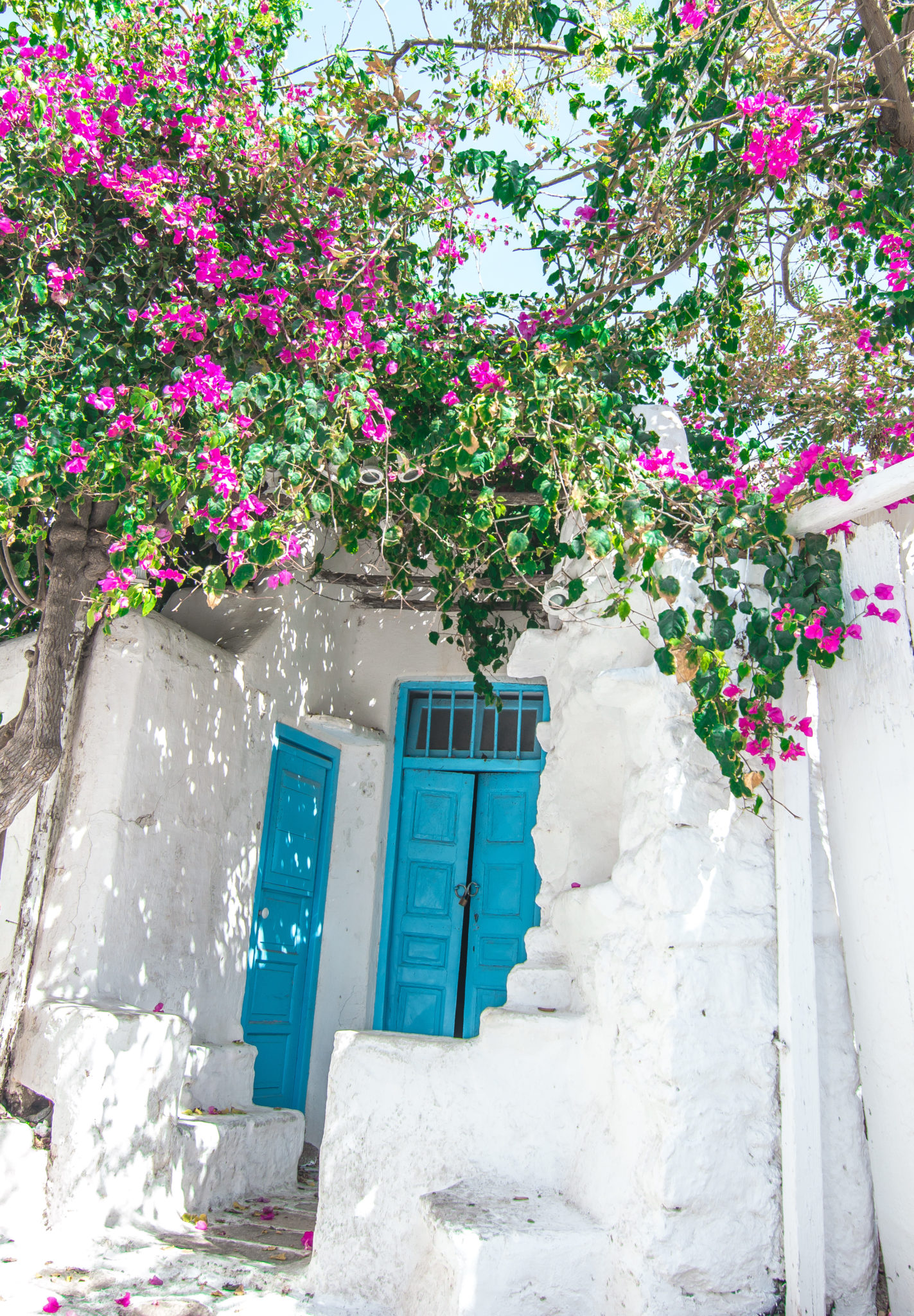 Mykonos Travel Guide blue door pink flowers