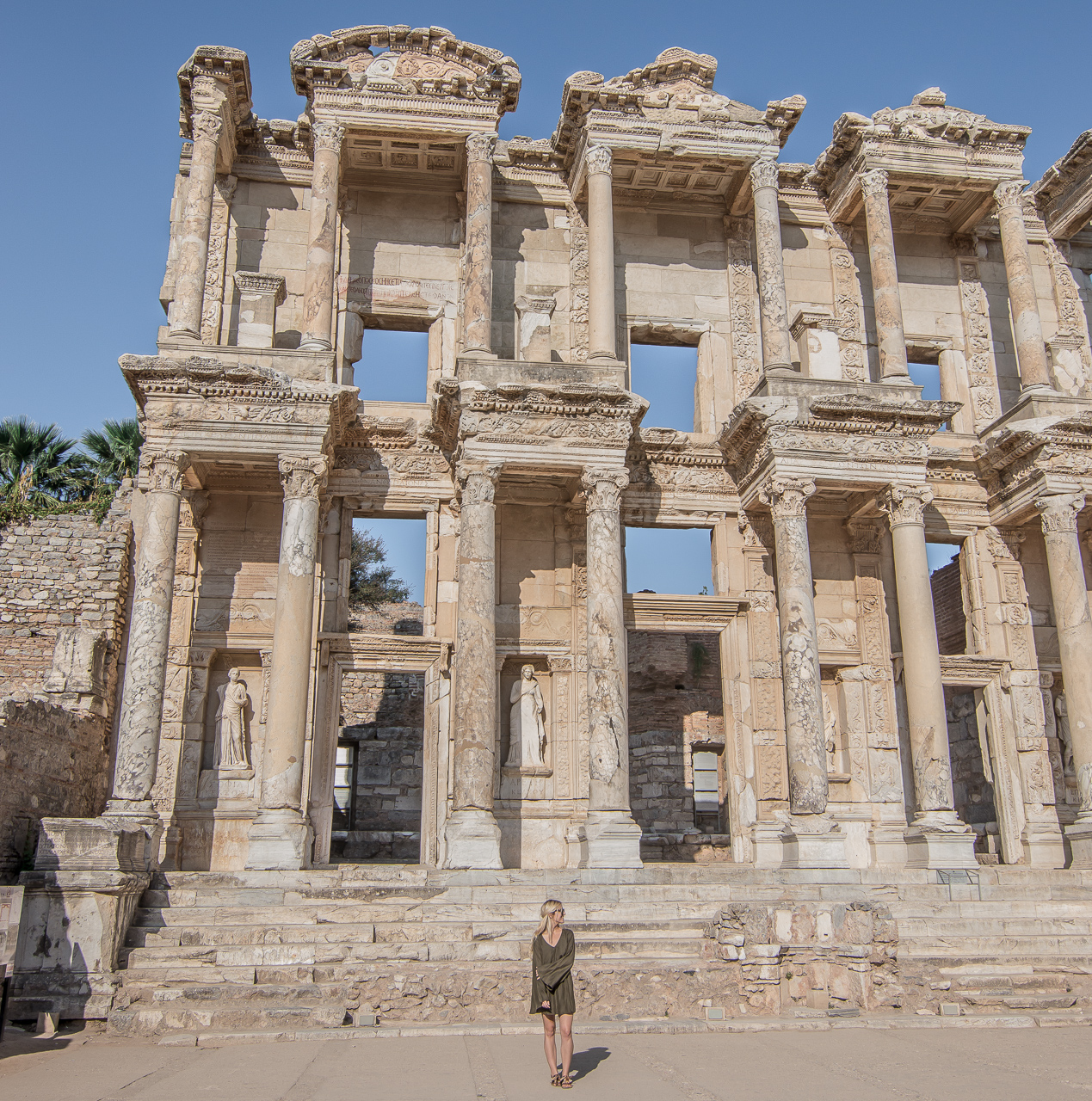 Celsius Library Turkey 