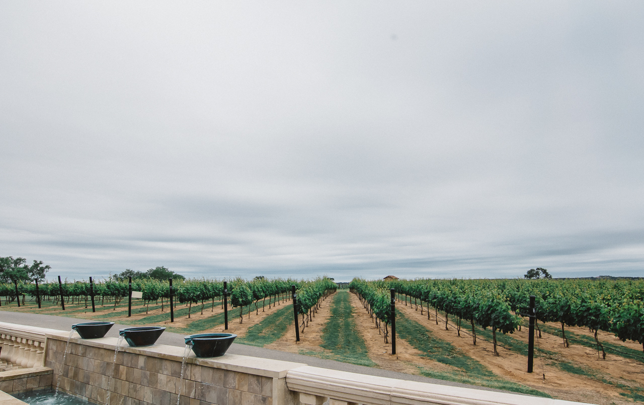 fredericksburg wineries