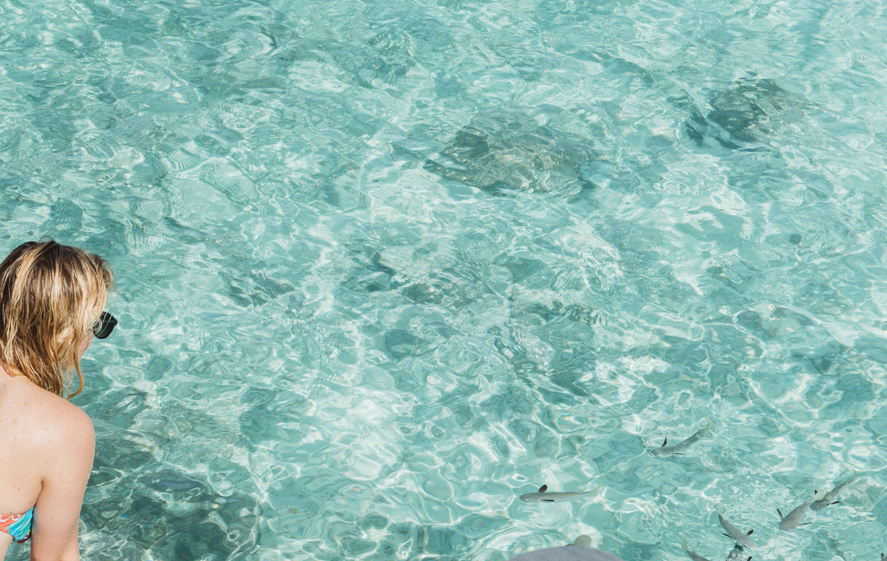 Hotel Kia Ora Rangiroa French Polynesia Fish