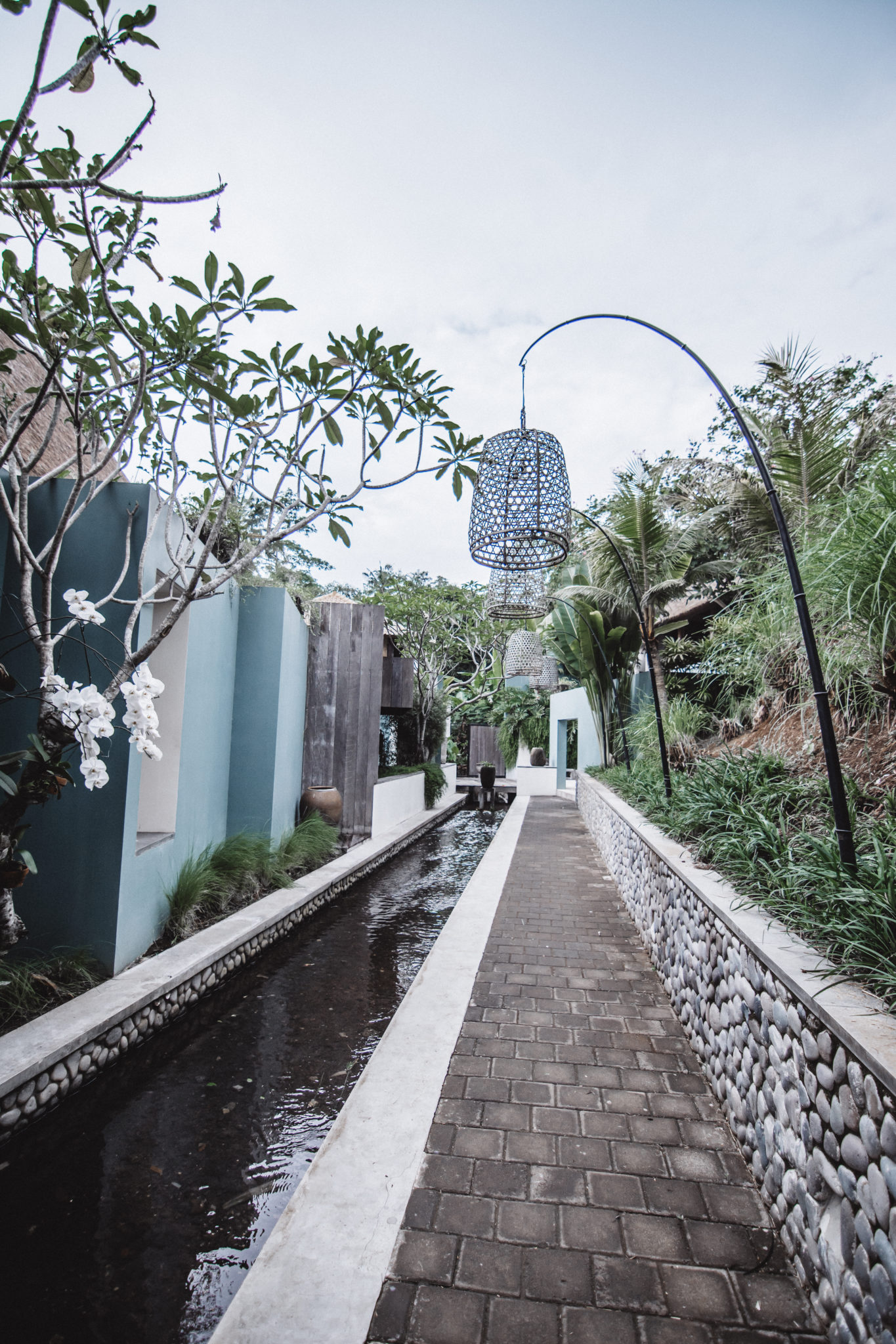 top hotels ubud