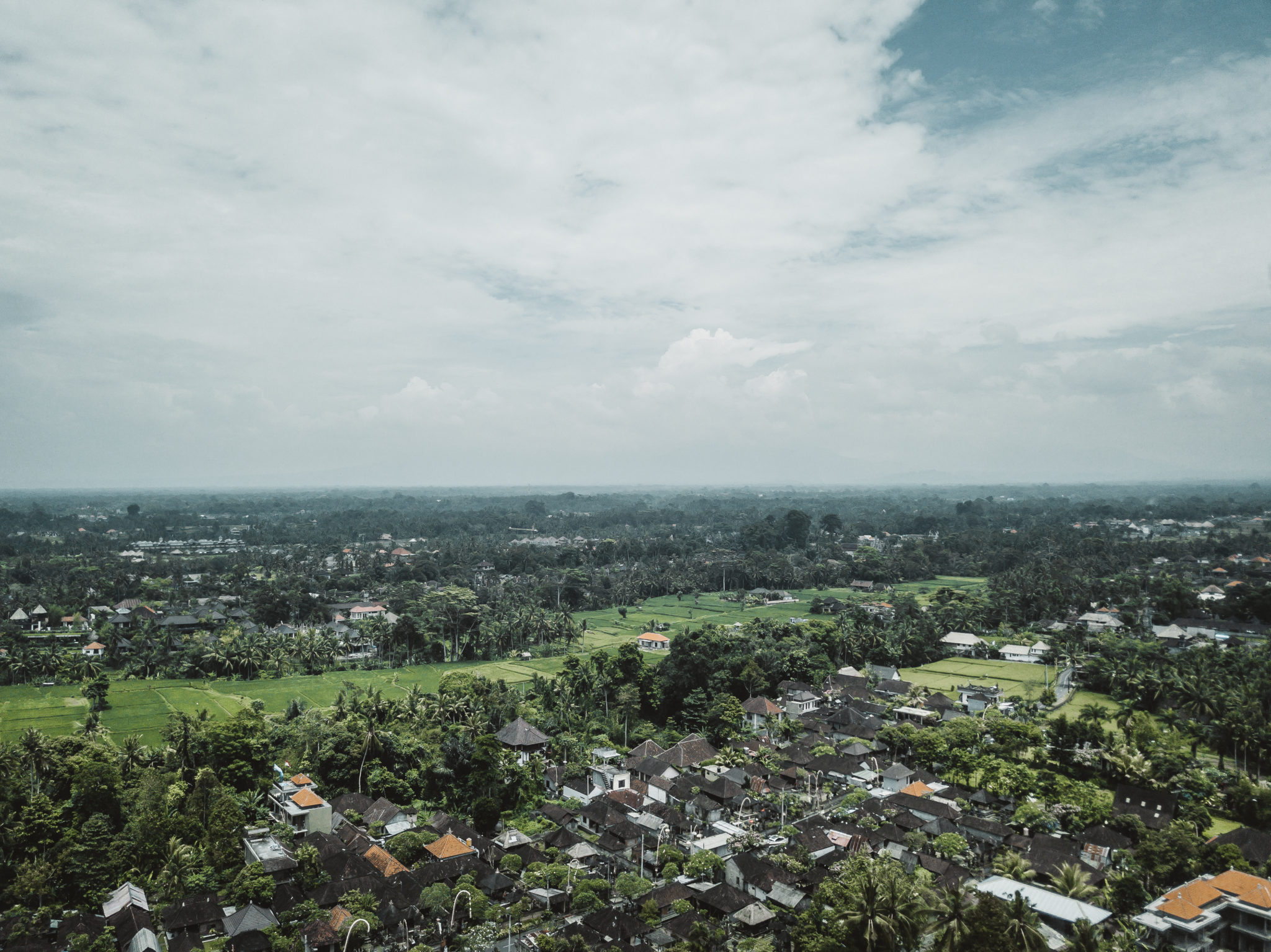 Ubud Aerial Drone