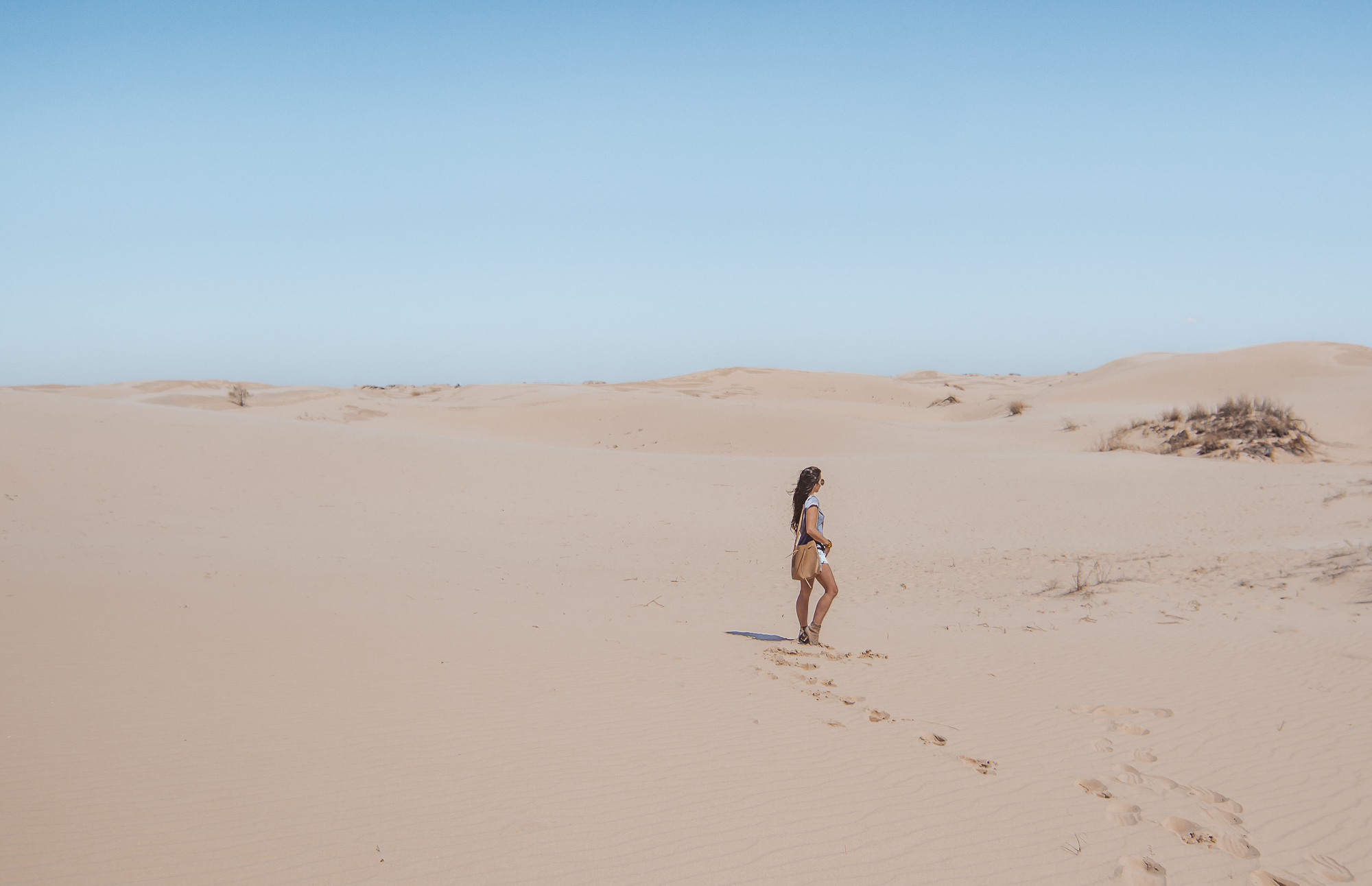 West Texas Wonders: Monahans Sandhills