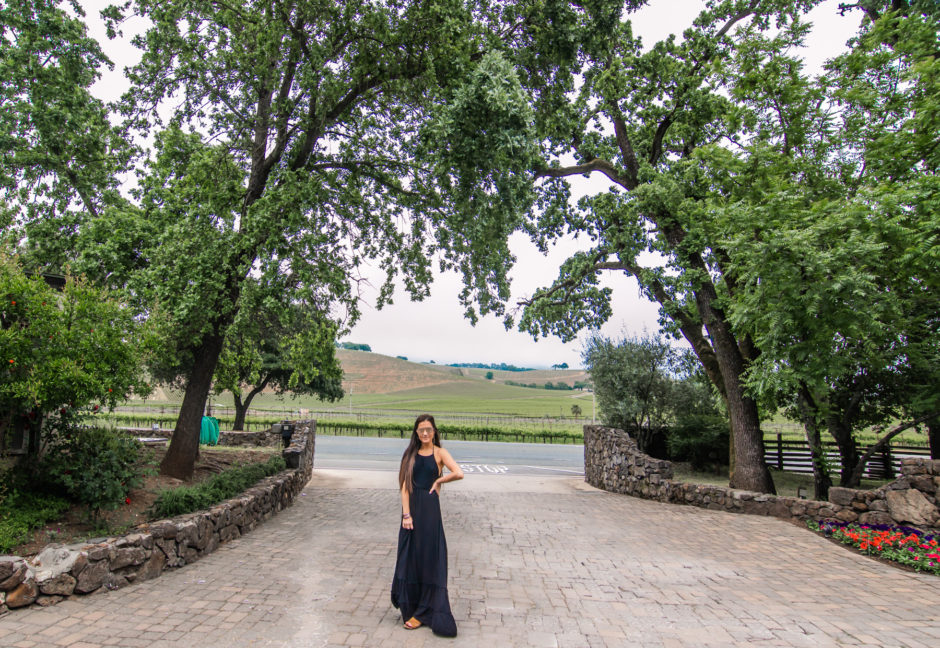 Sonoma Valley Blog