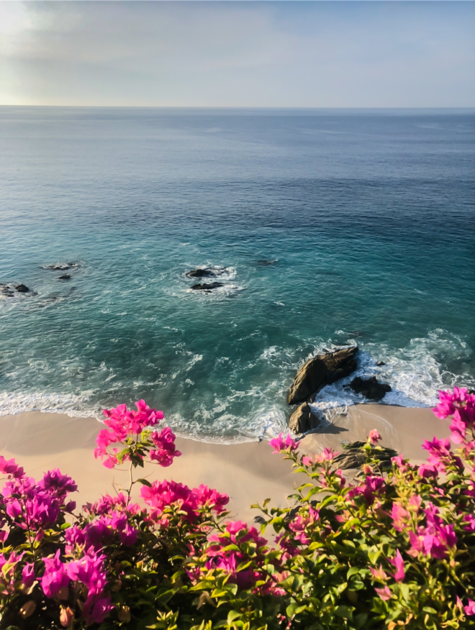Grand Velas Los Cabos Ocean View