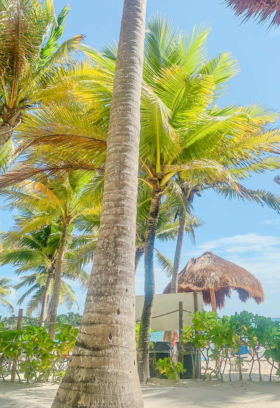 Akumal Mexico Guide