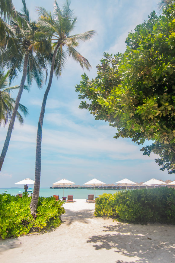 W Maldives Beach Umbrellas