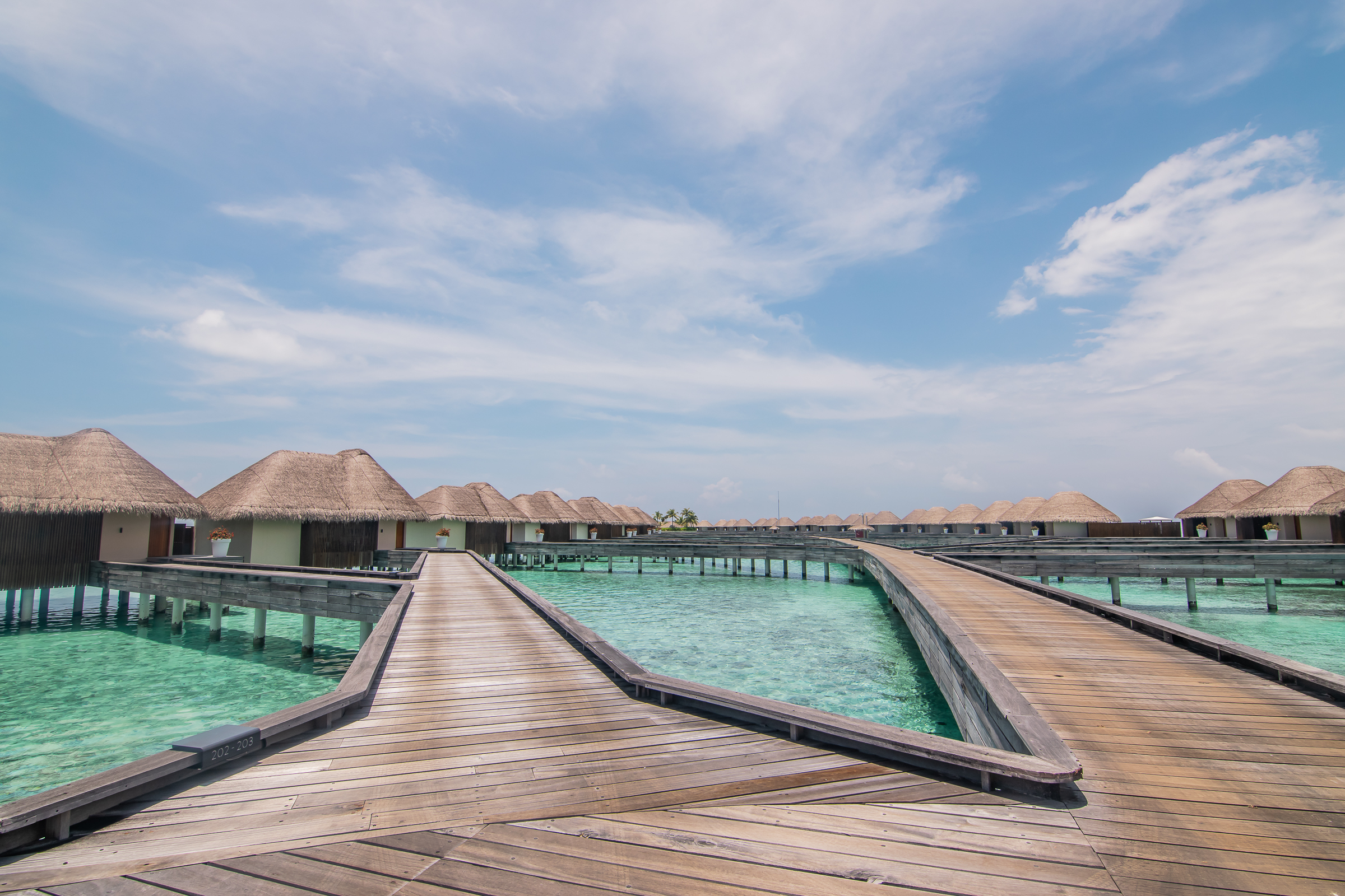 Hotel Spotlight: W Maldives