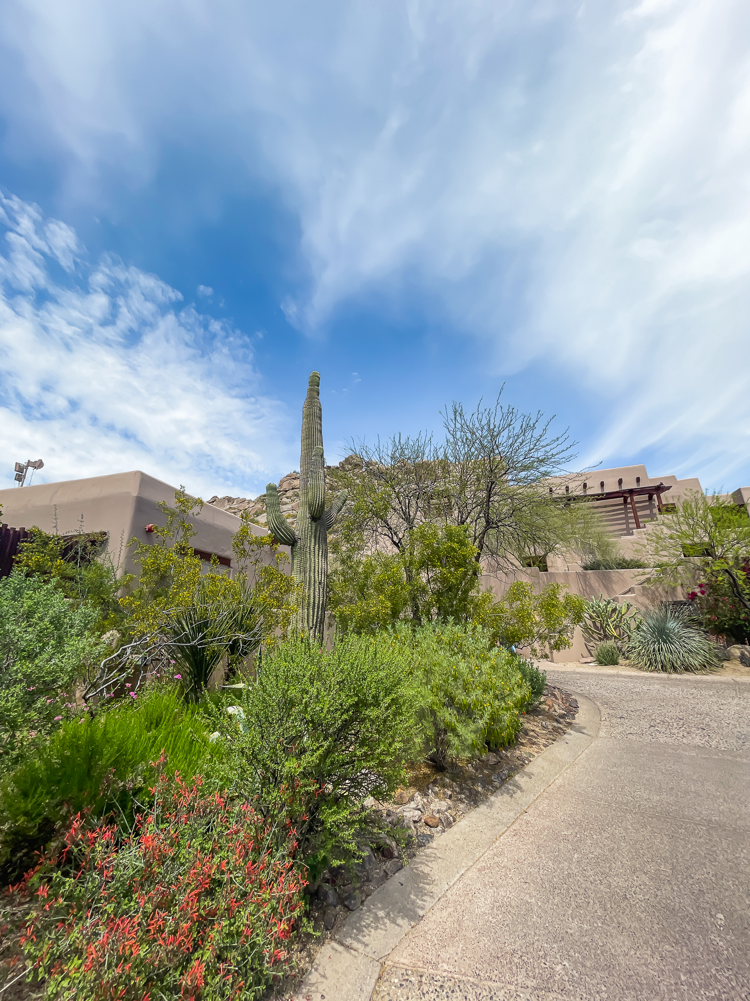The Ultimate Girls Trip Guide To Scottsdale