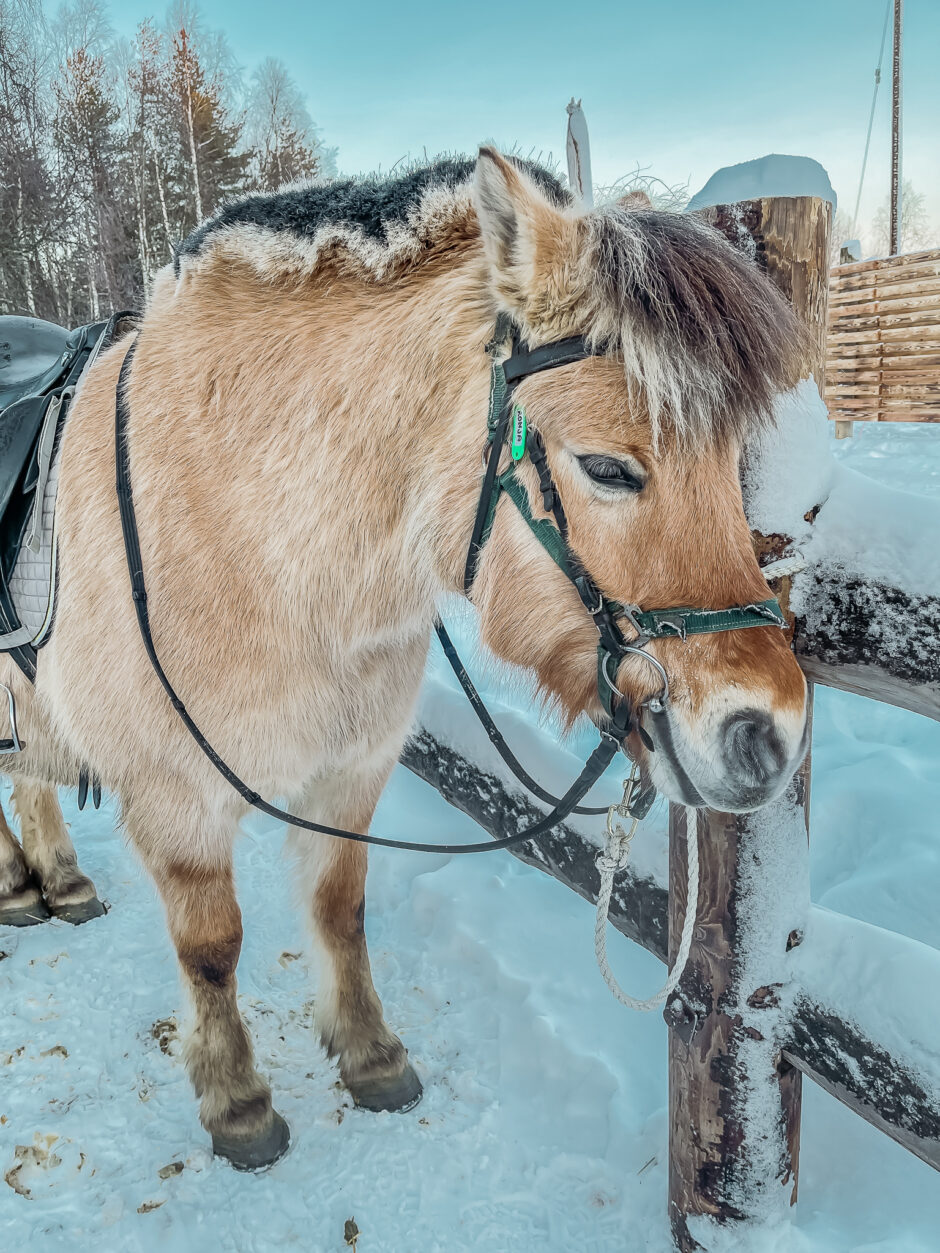 Apukka Resort Rovaniemi