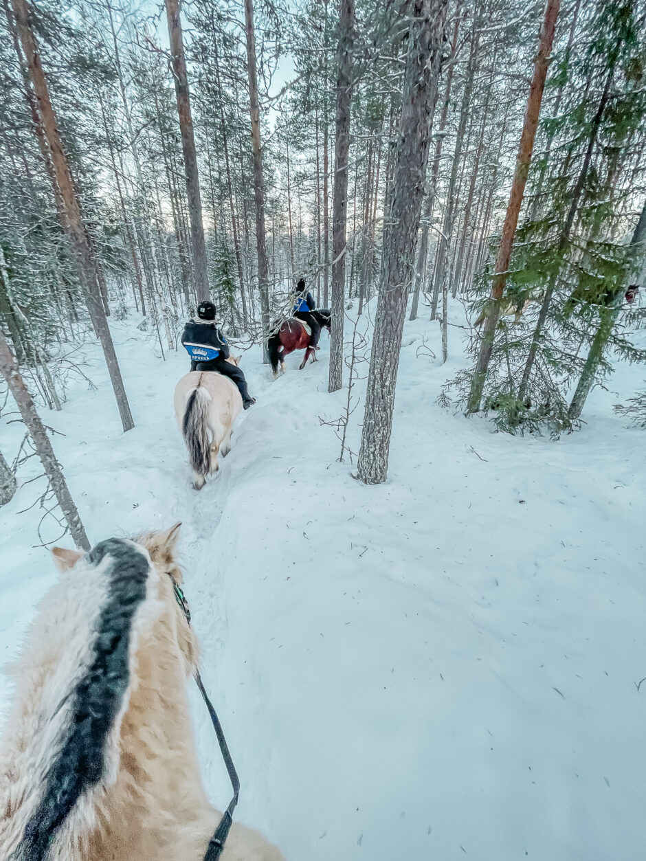 Apukka Resort Rovaniemi