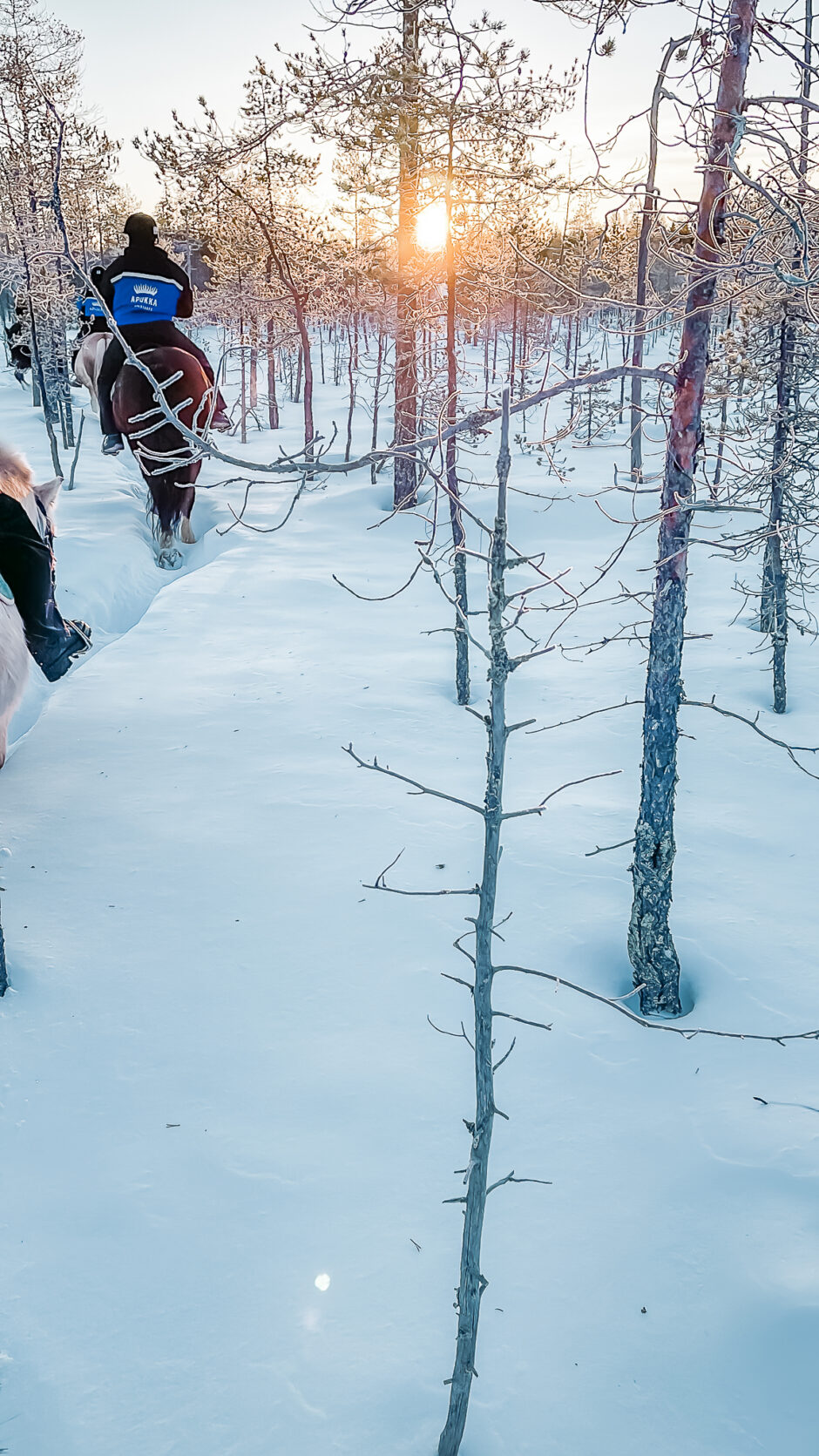 Apukka Resort Rovaniemi