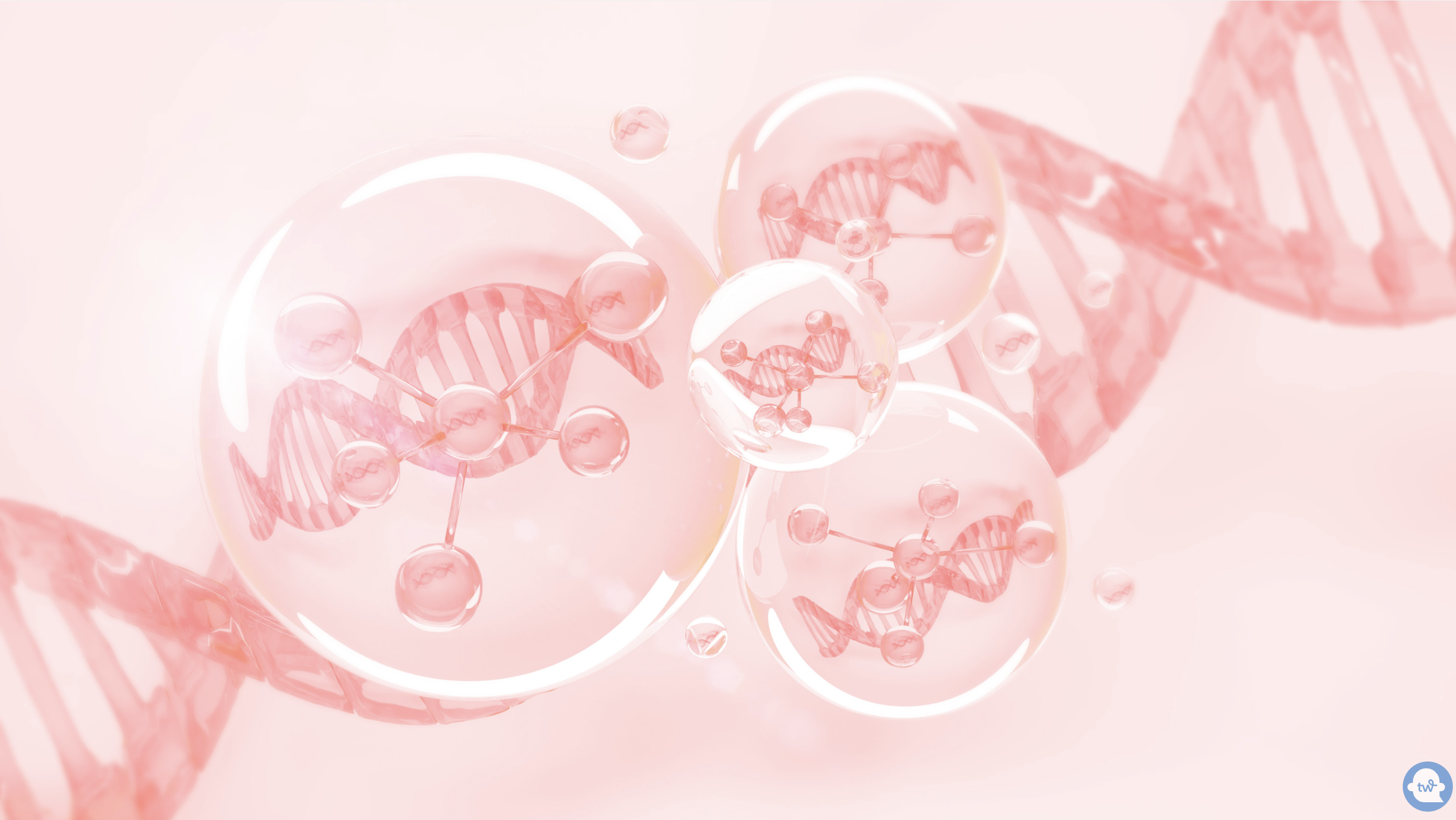 Redox and Well-being: The Natural Step into Better Health by Regenerating Your Body