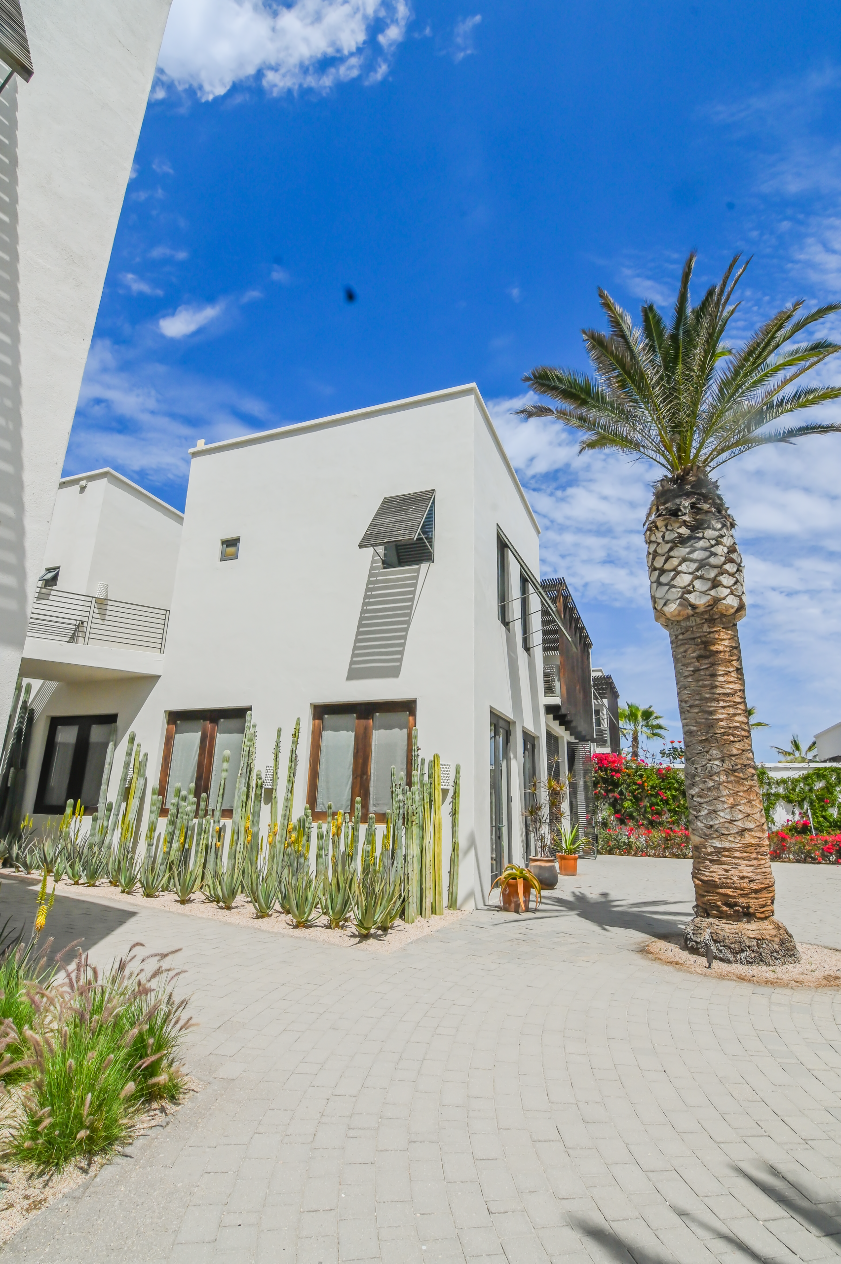 Hotel San Cristobal Todos Santos Mexico